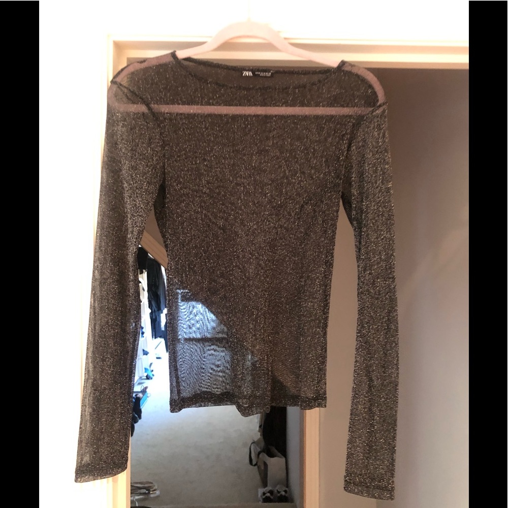 Mesh glitter Zara top